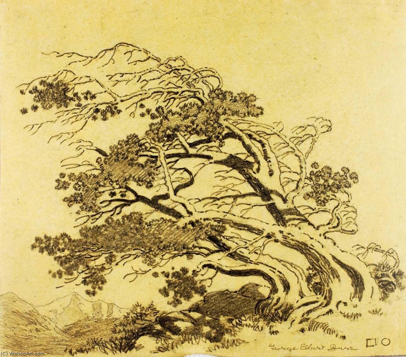 Buy Museum Art Reproductions Untitled (transfer drawing for Pines in Wind, Estes Park), 1918 by George Elbert Burr (1859-1939) | ArtsDot.com