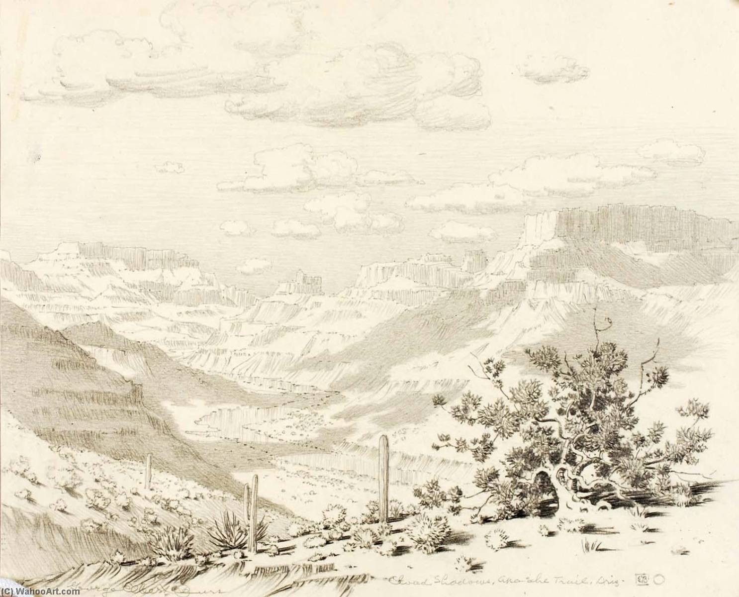 Order Oil Painting Replica Cloud Shadows, Apache Trail, Arizona, 1920 by George Elbert Burr (1859-1939) | ArtsDot.com