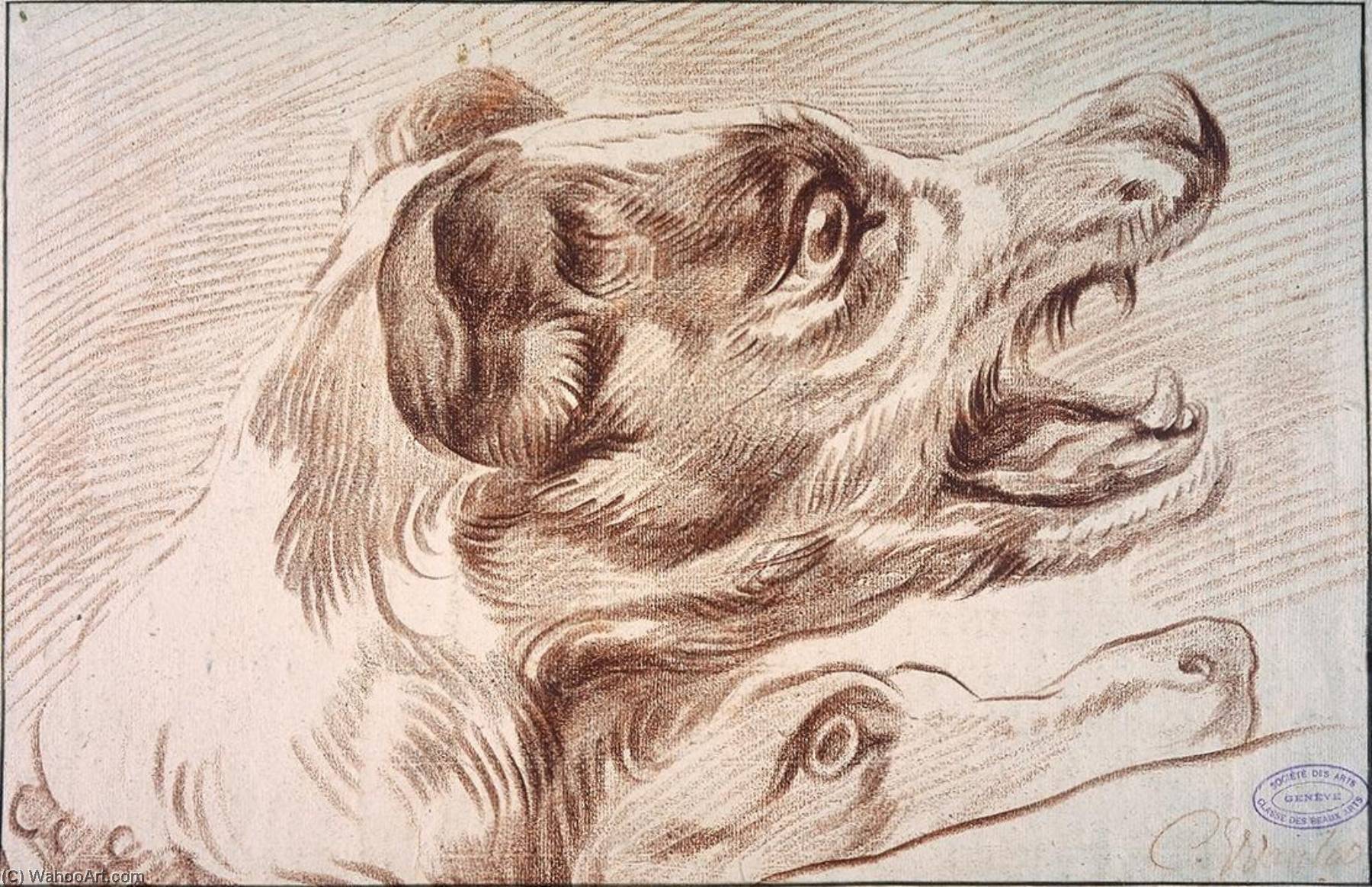 Order Oil Painting Replica Head of a Dog by Charles-André Van Loo (Carle Van Loo) (1705-1765, France) | ArtsDot.com