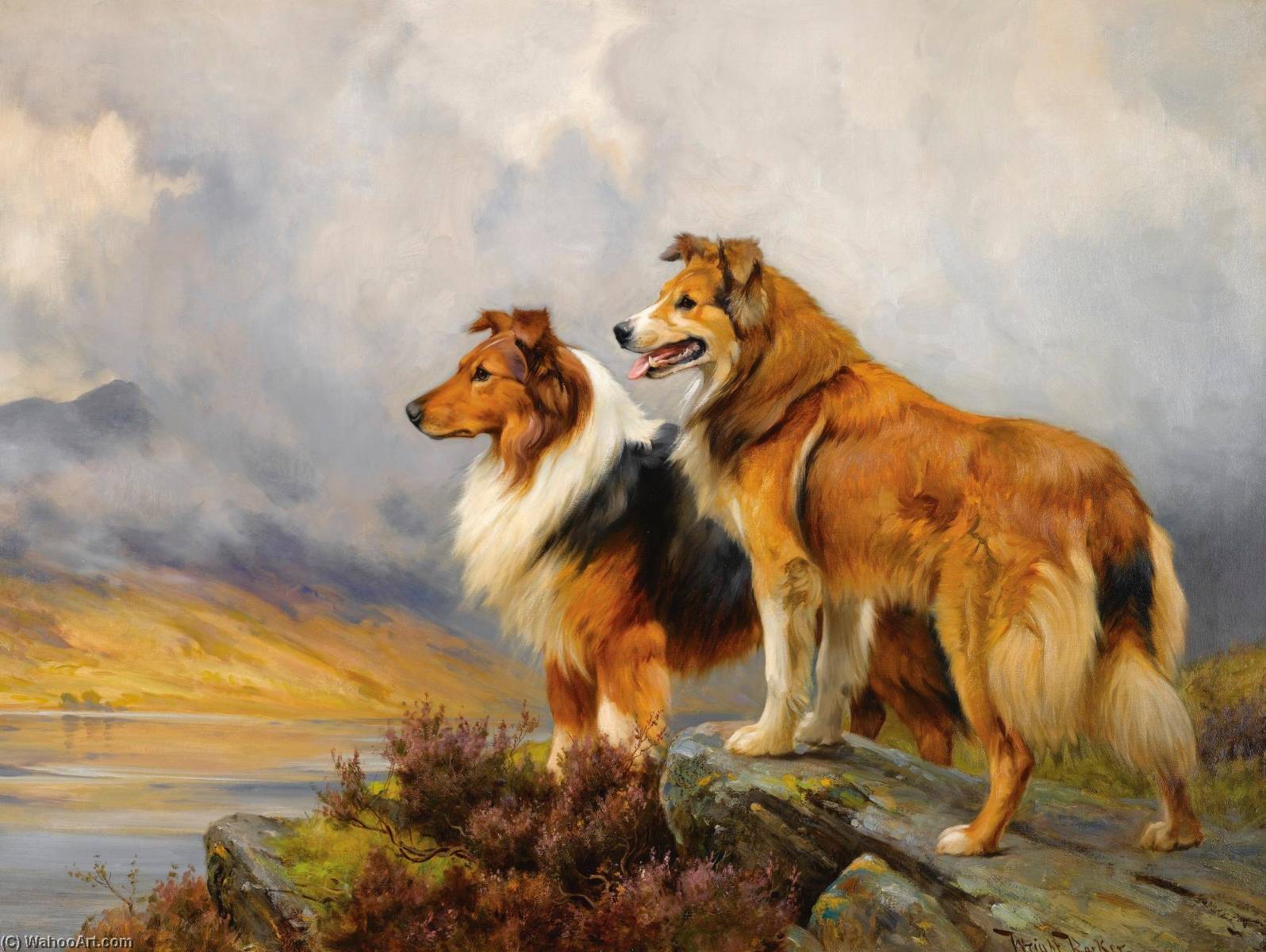 Order Paintings Reproductions Two Collies above a Lake by Wright Barker (1864-1941) | ArtsDot.com
