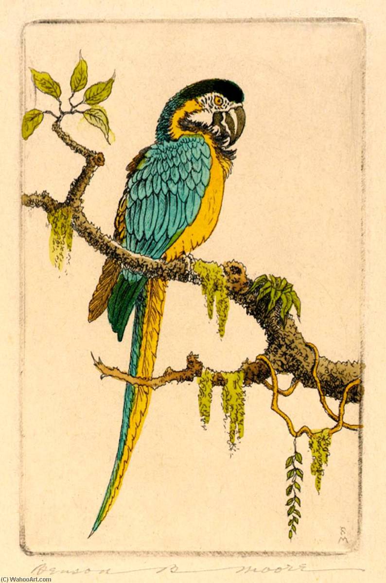 Order Art Reproductions Macaw by Benson B Moore (Inspired By) (1882-1974) | ArtsDot.com