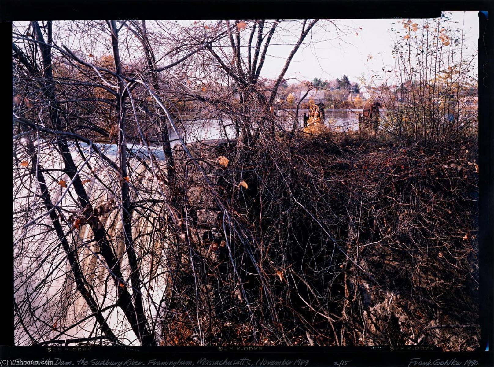 The Saxonville Dam, Sudbury River Framingham, Mass., November, 1989, 1989 by Frank Gohlke Frank Gohlke | ArtsDot.com