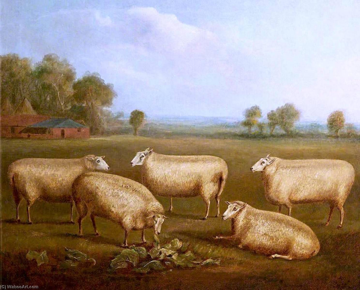 Buy Museum Art Reproductions Five Leicester Sheep by William Henry Davis (1833-1914) | ArtsDot.com