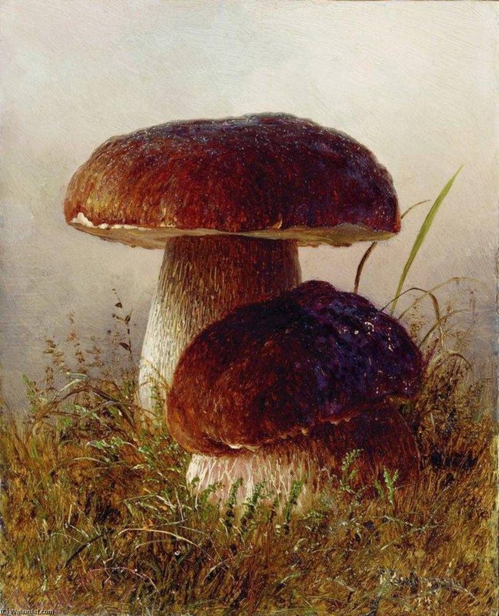 Obtenir Reproductions De Qualité Musée Champignons de Gavriil Kondratenko (1854-1924, Russia) | ArtsDot.com