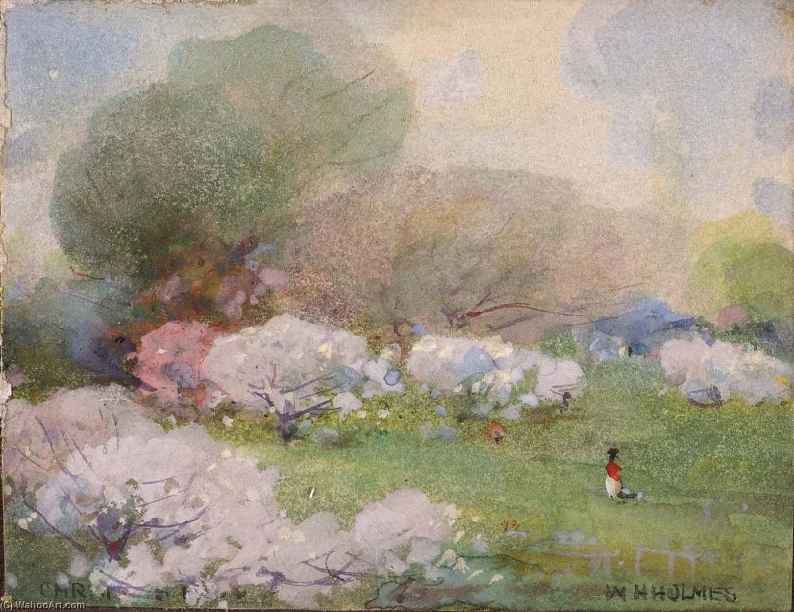 Order Art Reproductions Cherry Blossoms by William Henry Holmes (1846-1933, United States) | ArtsDot.com