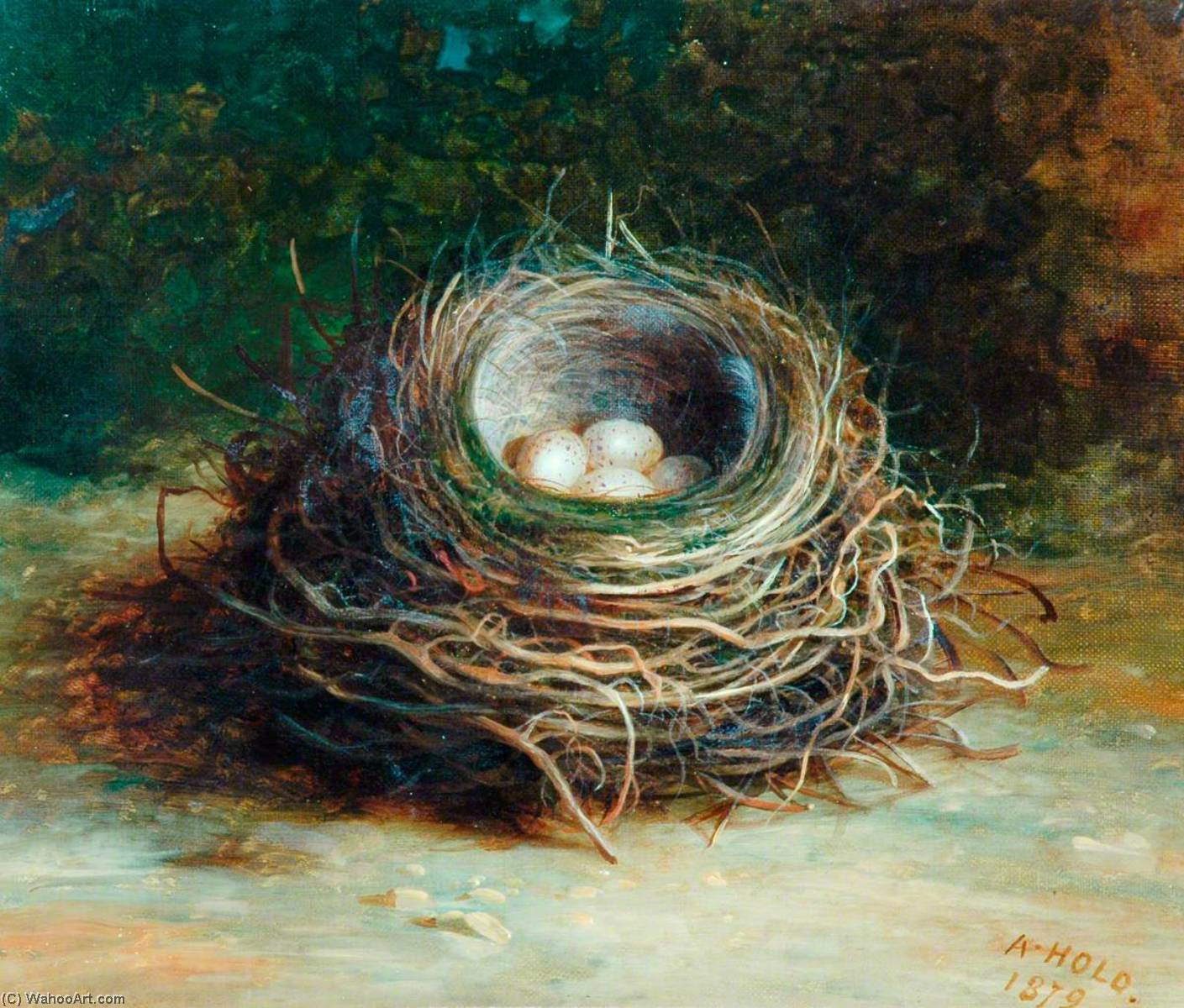 Buy Museum Art Reproductions Starling`s Nest, 1879 by Abel Hold (1815-1891) | ArtsDot.com