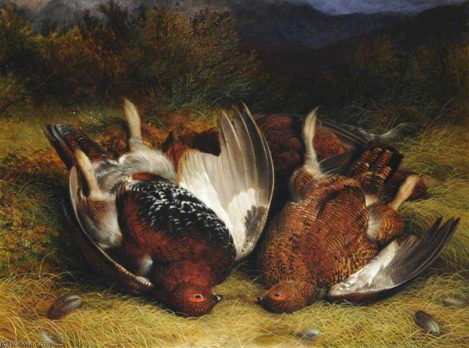 Buy Museum Art Reproductions Three Red Grouse by Abel Hold (1815-1891) | ArtsDot.com