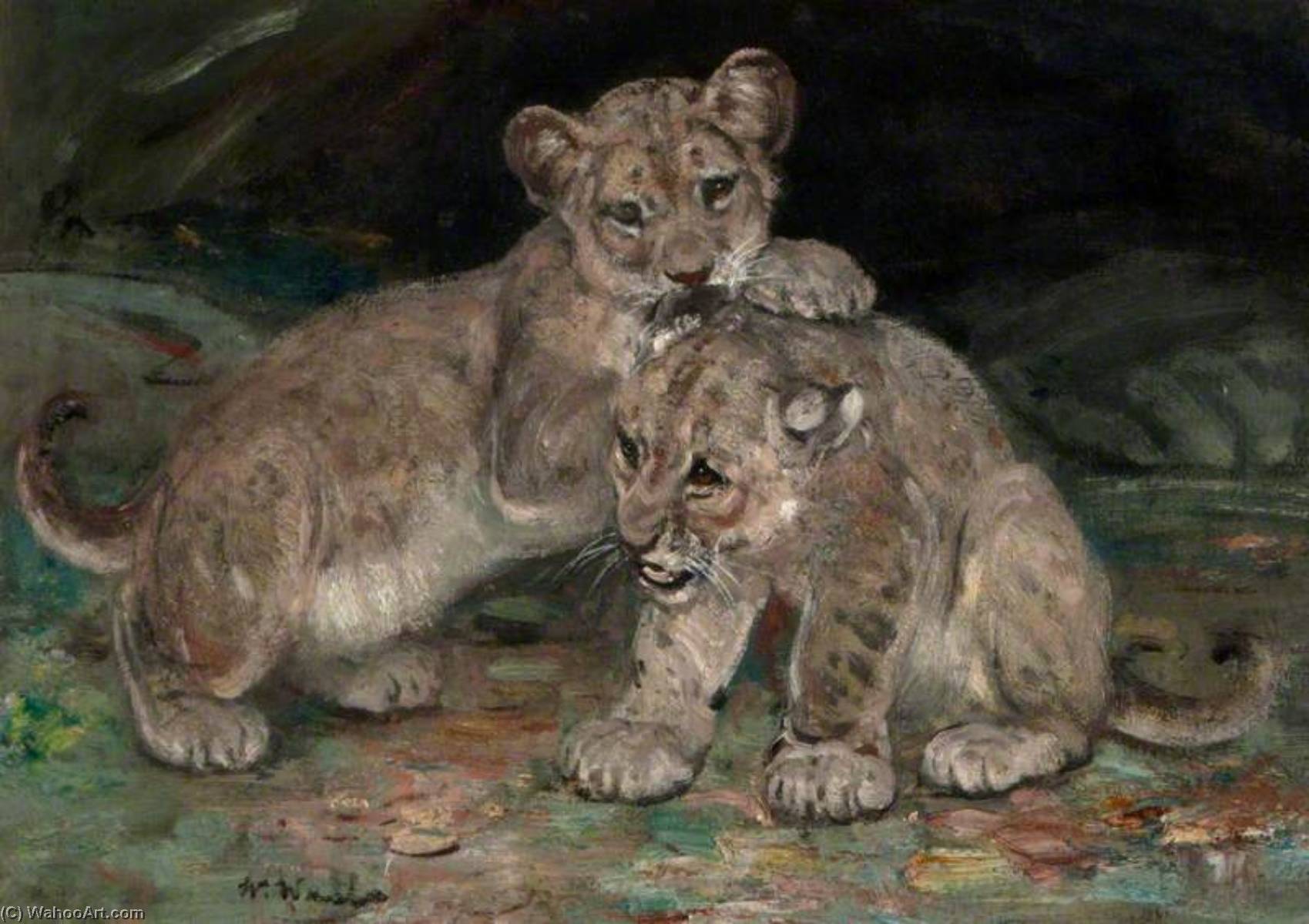 Order Art Reproductions Lion Cubs, 1906 by William Walls (1860-1942) | ArtsDot.com
