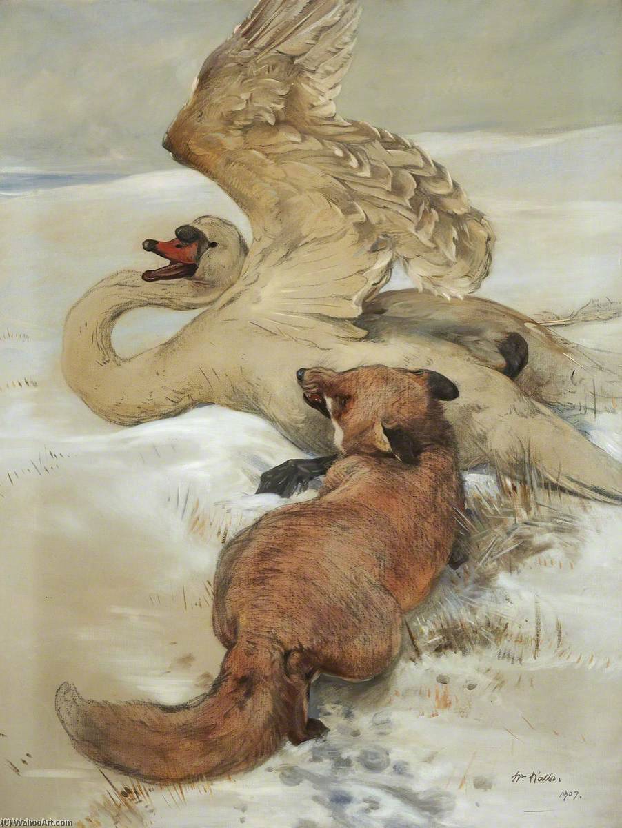 Order Art Reproductions Fox Attacking Wounded Swan, 1907 by William Walls (1860-1942) | ArtsDot.com