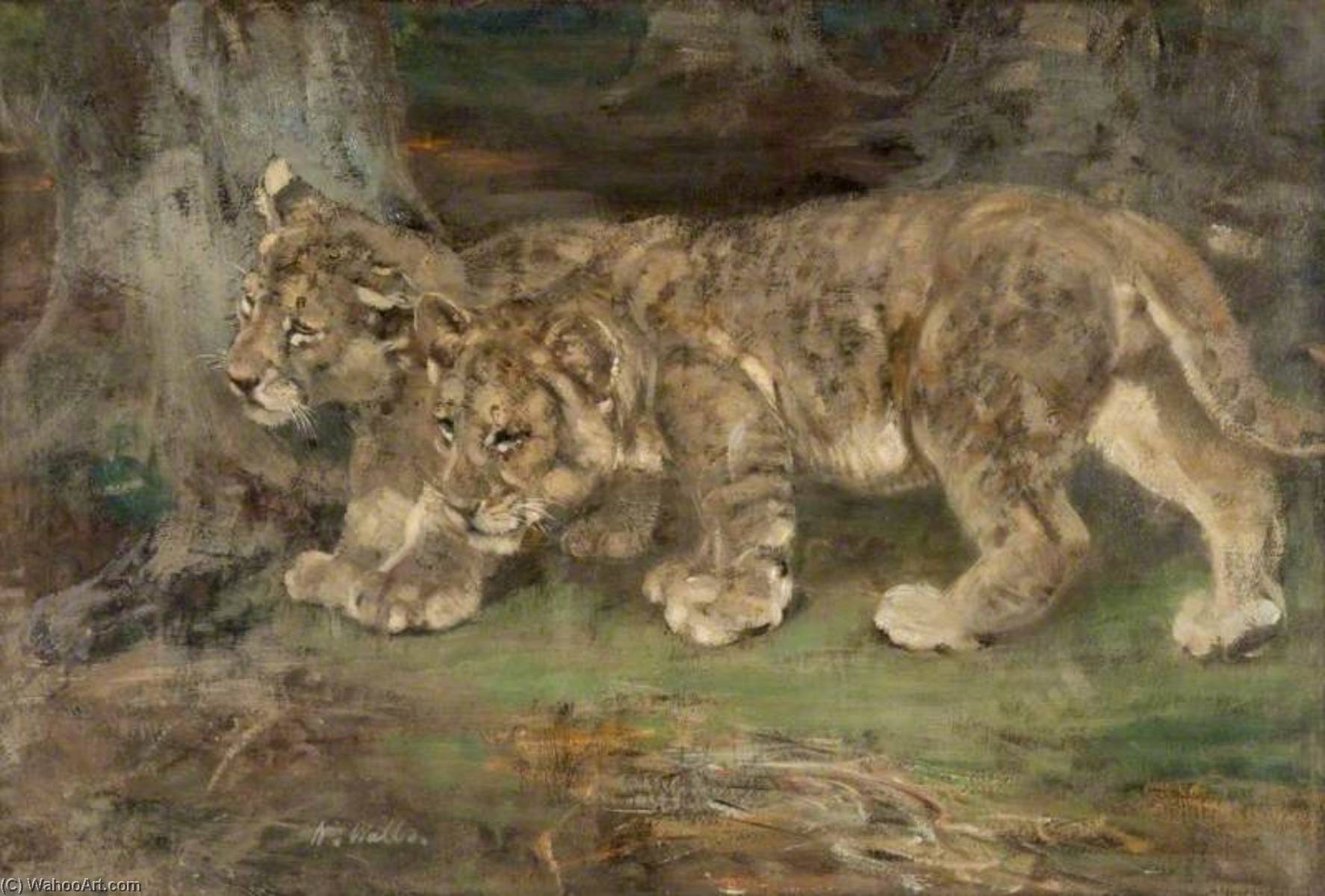 Order Paintings Reproductions Lion Cubs, Suspicion, 1923 by William Walls (1860-1942) | ArtsDot.com