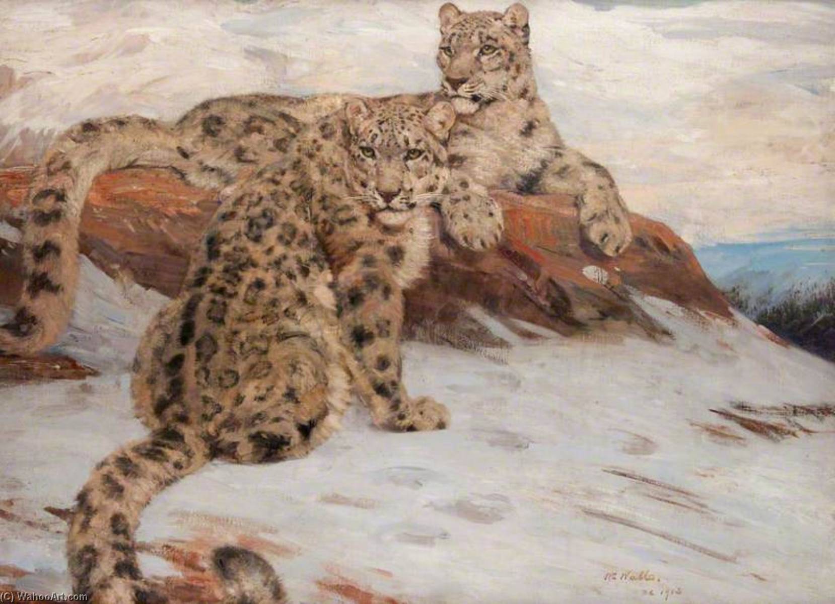 Order Artwork Replica Snow Leopards by William Walls (1860-1942) | ArtsDot.com