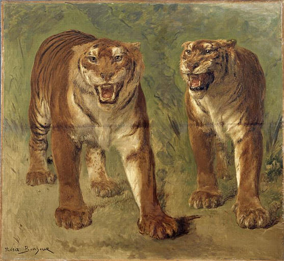 Order Art Reproductions TIGRE ROYAL FURIEUX by Bonheur Marie Rosalie (1822-1899) | ArtsDot.com