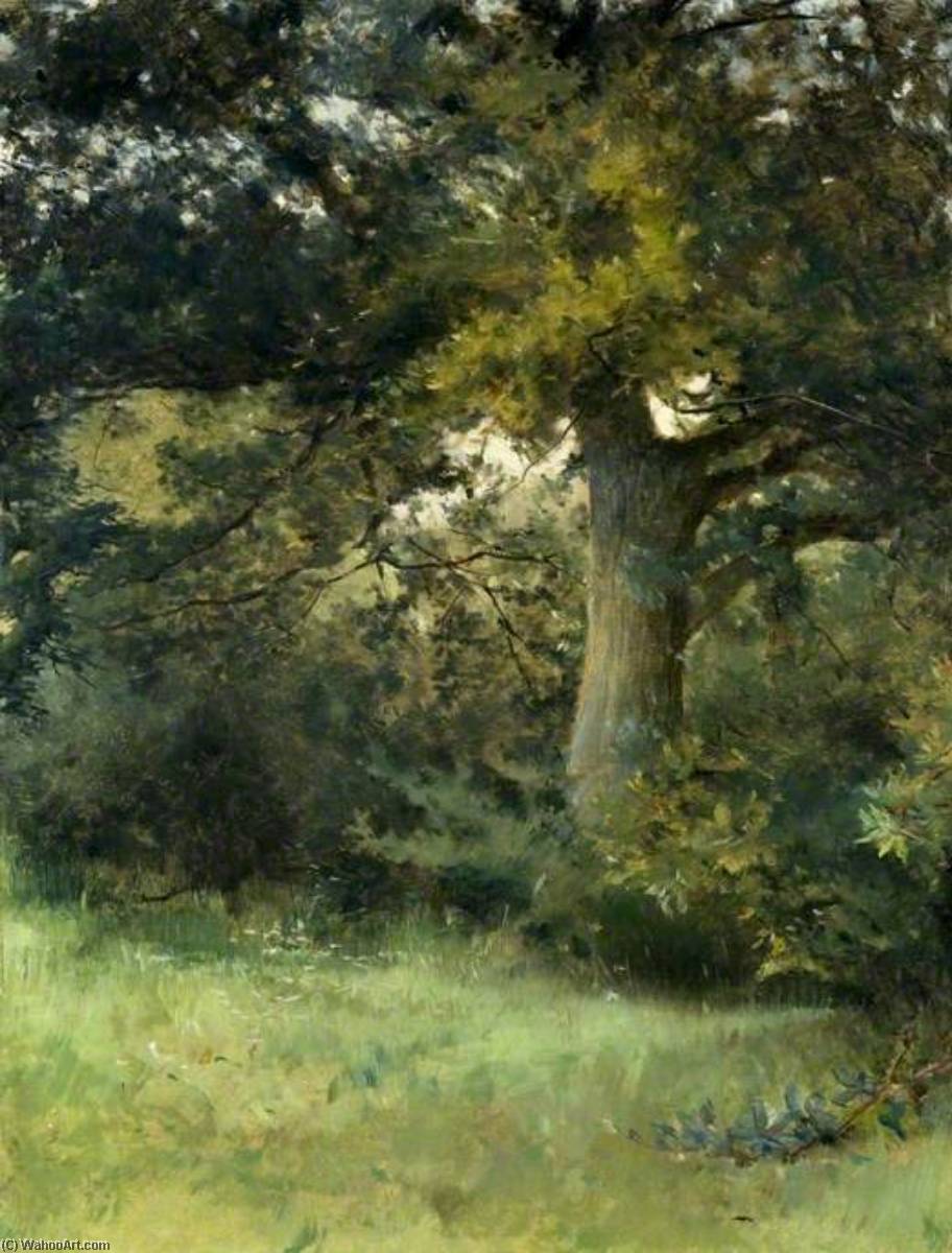 Order Paintings Reproductions An Oak Tree, Green Hedges, East Grinstead, Sussex, 1896 by Sarah Paxton Bell Dodson | ArtsDot.com
