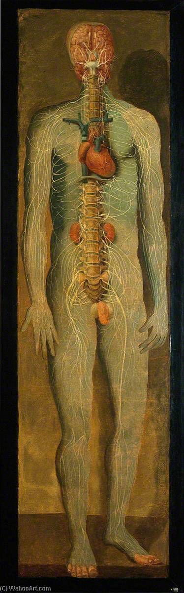 Order Oil Painting Replica A Standing Figure Showing the Vertebral Column, Nerves, Kidneys, Heart and Brain, 1765 by Jacques Fabien Gautier Dagoty (1740-1786, France) | ArtsDot.com