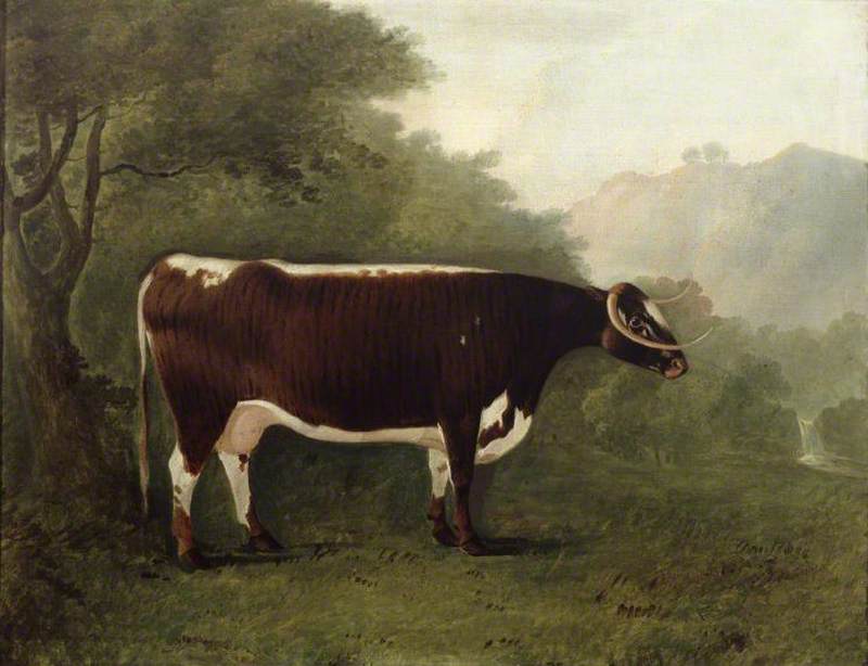 Order Oil Painting Replica `Garrick`s Sister` A Cow by John Boultbee (1753-1812) | ArtsDot.com