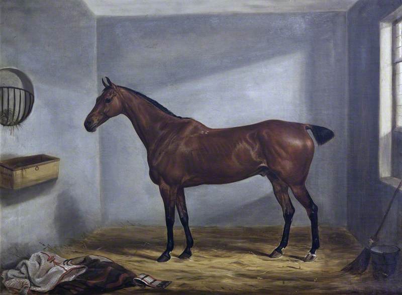 Order Paintings Reproductions A Bay Hunter in a Loose Box, 1823 by William Webb (1862-1903) | ArtsDot.com