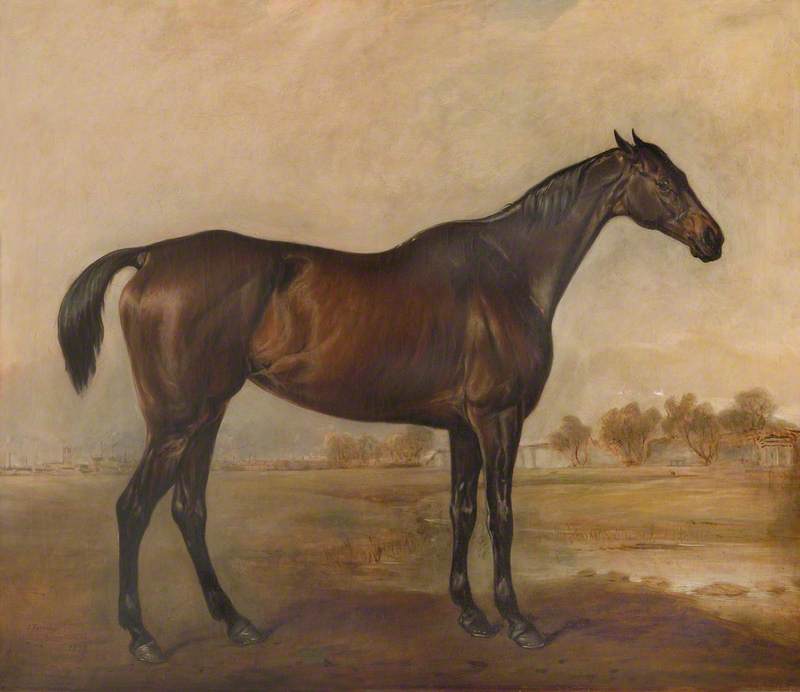 Order Paintings Reproductions A Bay Racehorse Called `Nightmare`, 1850 by John Ferneley Ii | ArtsDot.com