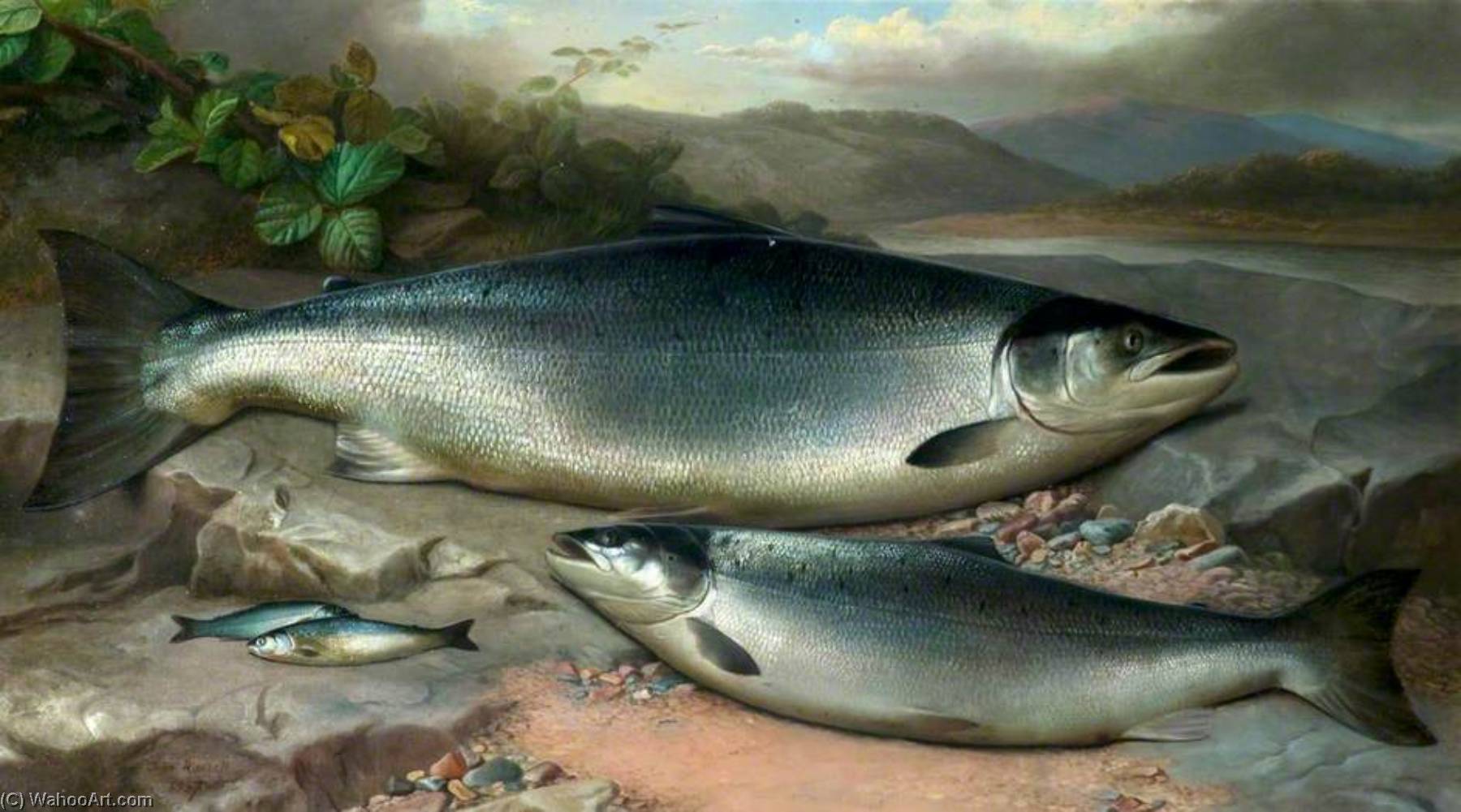Order Art Reproductions Salmon, 1887 by John Bucknell Russell (1819-1893) | ArtsDot.com