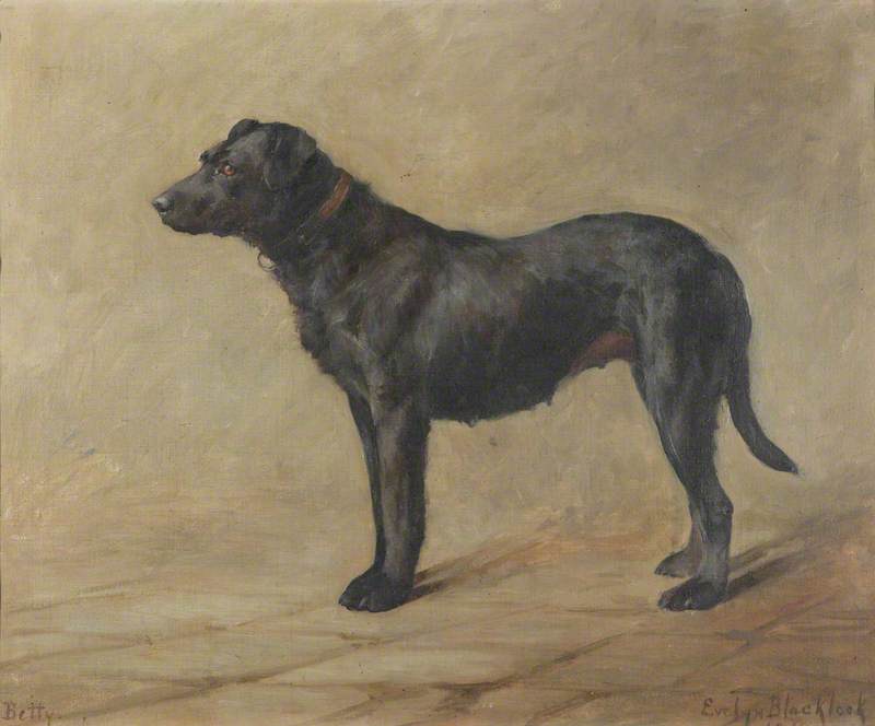 Order Paintings Reproductions `Betty`, a Black Labrador, 1911 by Evelyn Blacklock (1872-1948) | ArtsDot.com