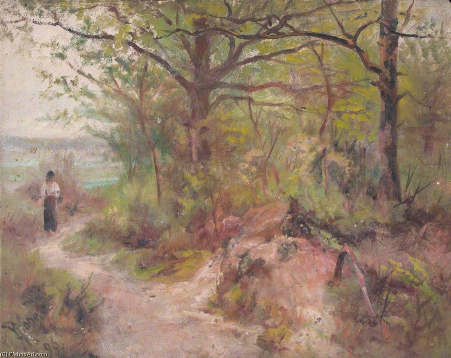 顺序 畫複製 在克罗汉赫斯特的脚下,克罗伊登,萨里,北区, 1896 通过 William Henry Hope (1835-1917) | ArtsDot.com