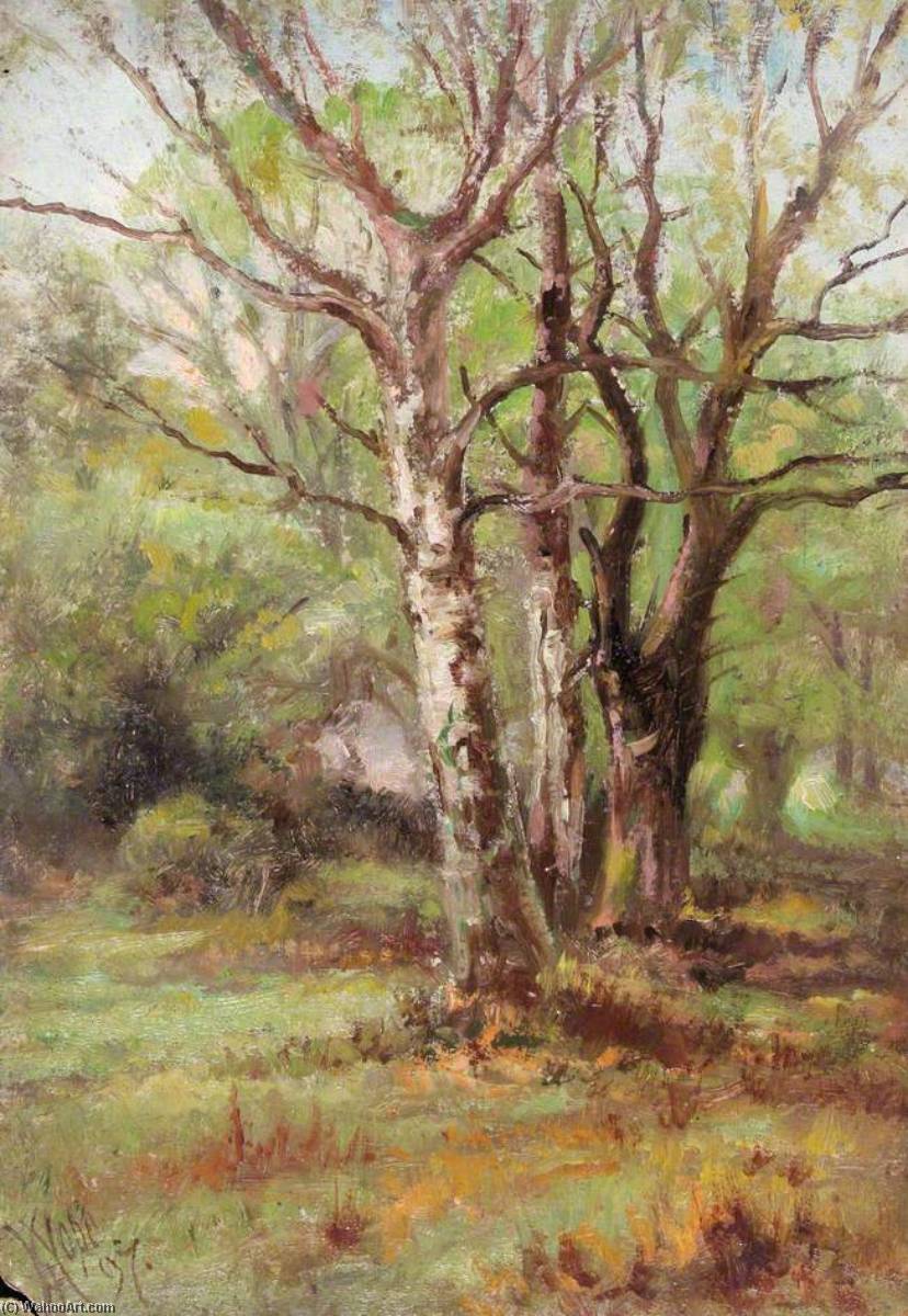 顺序 油畫 靠近阿丁顿山,克罗伊登,萨里, 1897 通过 William Henry Hope (1835-1917) | ArtsDot.com
