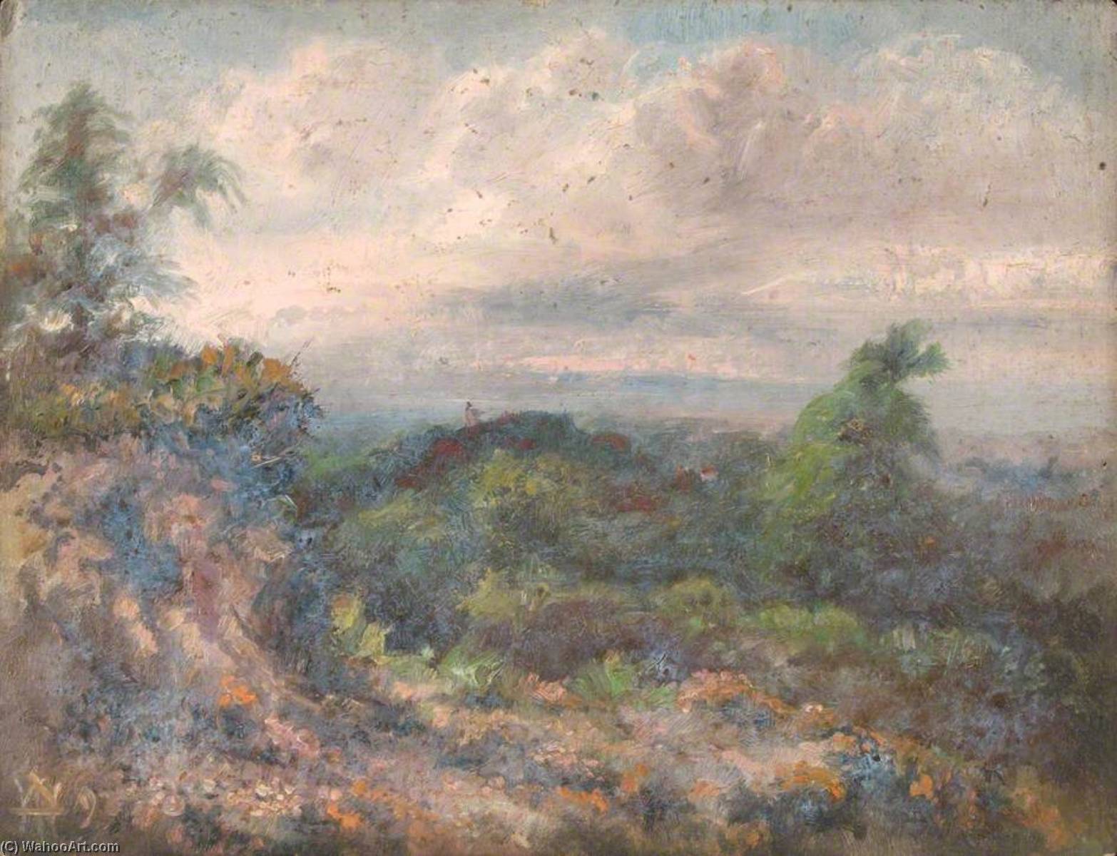Buy Museum Art Reproductions Addington Hills, Croydon, Surrey, 22 June 1892, 1892 by William Henry Hope (1835-1917) | ArtsDot.com