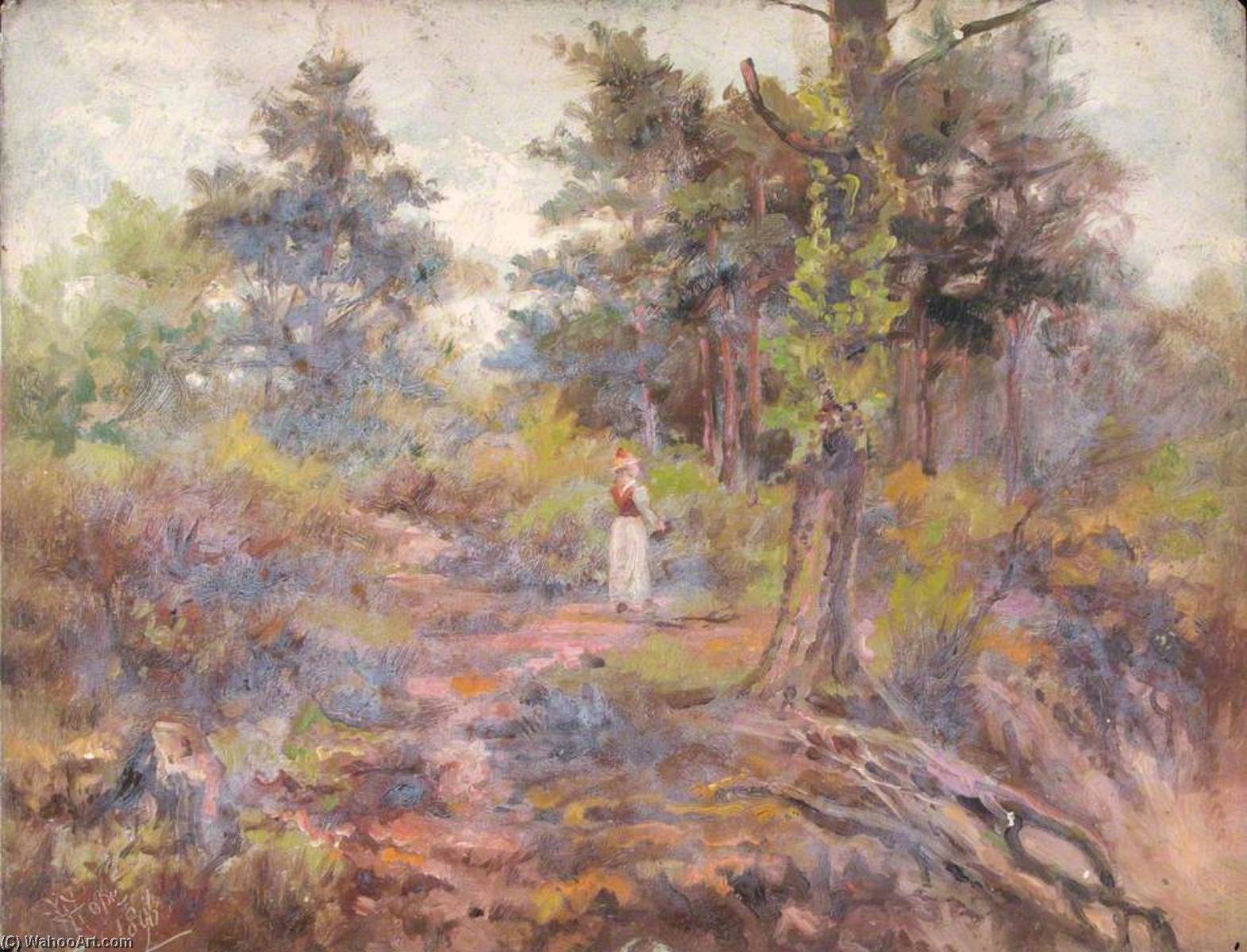 Ordem Reproduções De Pinturas Top of the Pit, Croham Hurst, Croydon, Surrey, 1896 por William Henry Hope (1835-1917) | ArtsDot.com