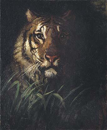 Order Art Reproductions Tiger`s Head, (painting), 1874 by Abbott Handerson Thayer (1849-1921, United States) | ArtsDot.com