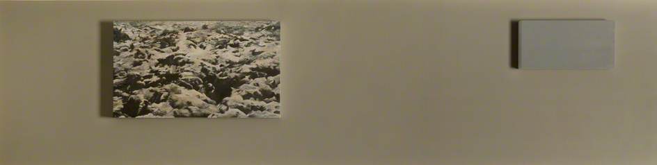 6つの風景(マウス)(左セクション), 2009 バイ Donald Urquhart Donald Urquhart | ArtsDot.com