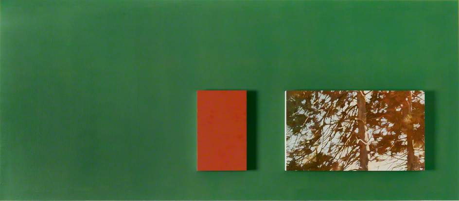 Six Landscapes (Pine), 2009 по Donald Urquhart Donald Urquhart | ArtsDot.com