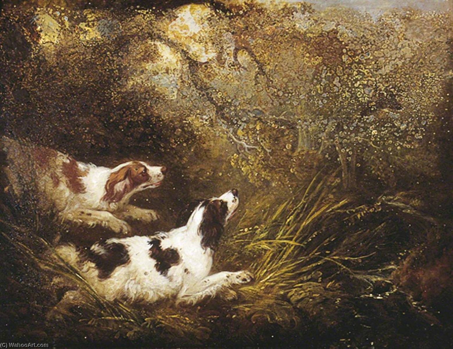 Ordinare Stampe Di Qualità Del Museo Cani di Charles Henry Schwanfelder (1774-1837) | ArtsDot.com