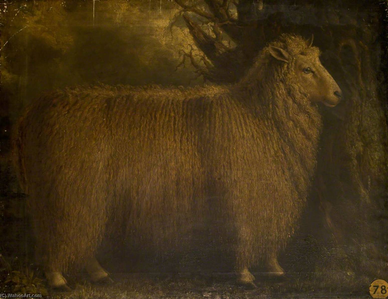 Order Art Reproductions An Old Lincoln Ram by William Shiels (1785-1857) | ArtsDot.com