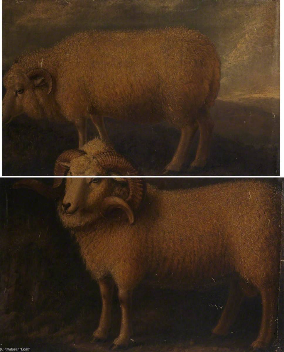 Order Paintings Reproductions Exmoor Ram and Ewe (diptych) by William Shiels (1785-1857) | ArtsDot.com