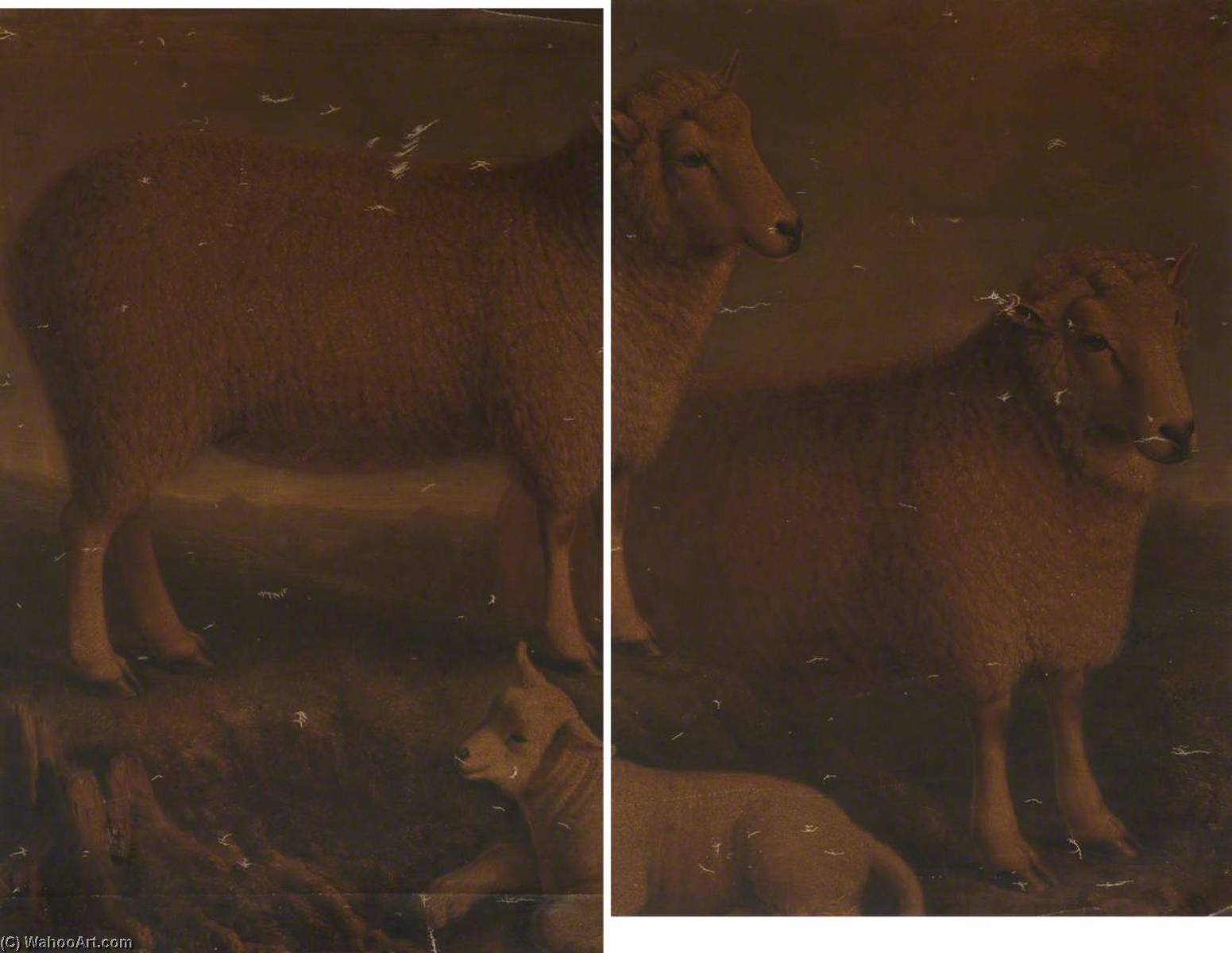 Order Oil Painting Replica Ryeland Ram, Ewe and Lamb (diptych) by William Shiels (1785-1857) | ArtsDot.com