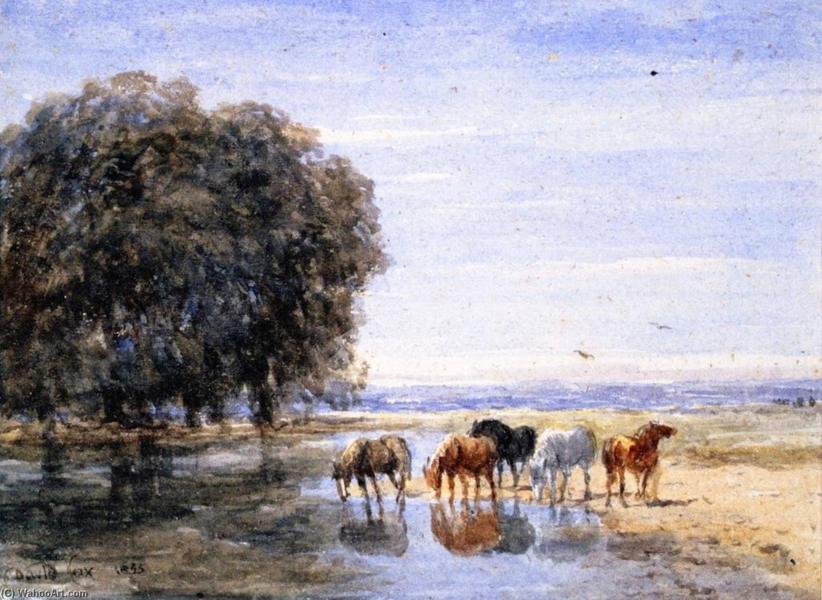 Order Paintings Reproductions Horses Drinking, 1855 by David Cox The Elder (1783-1859) | ArtsDot.com