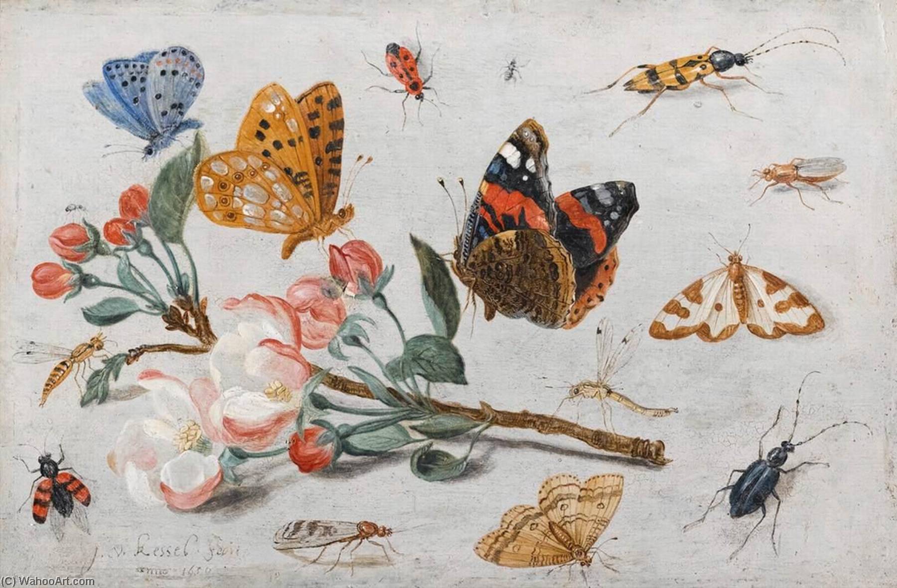 Order Oil Painting Replica Study of Butterflies and Other Insects with a Sprig of Apple Blossom, 1659 by Jan Van Kessel The Elder (1626-1679) | ArtsDot.com