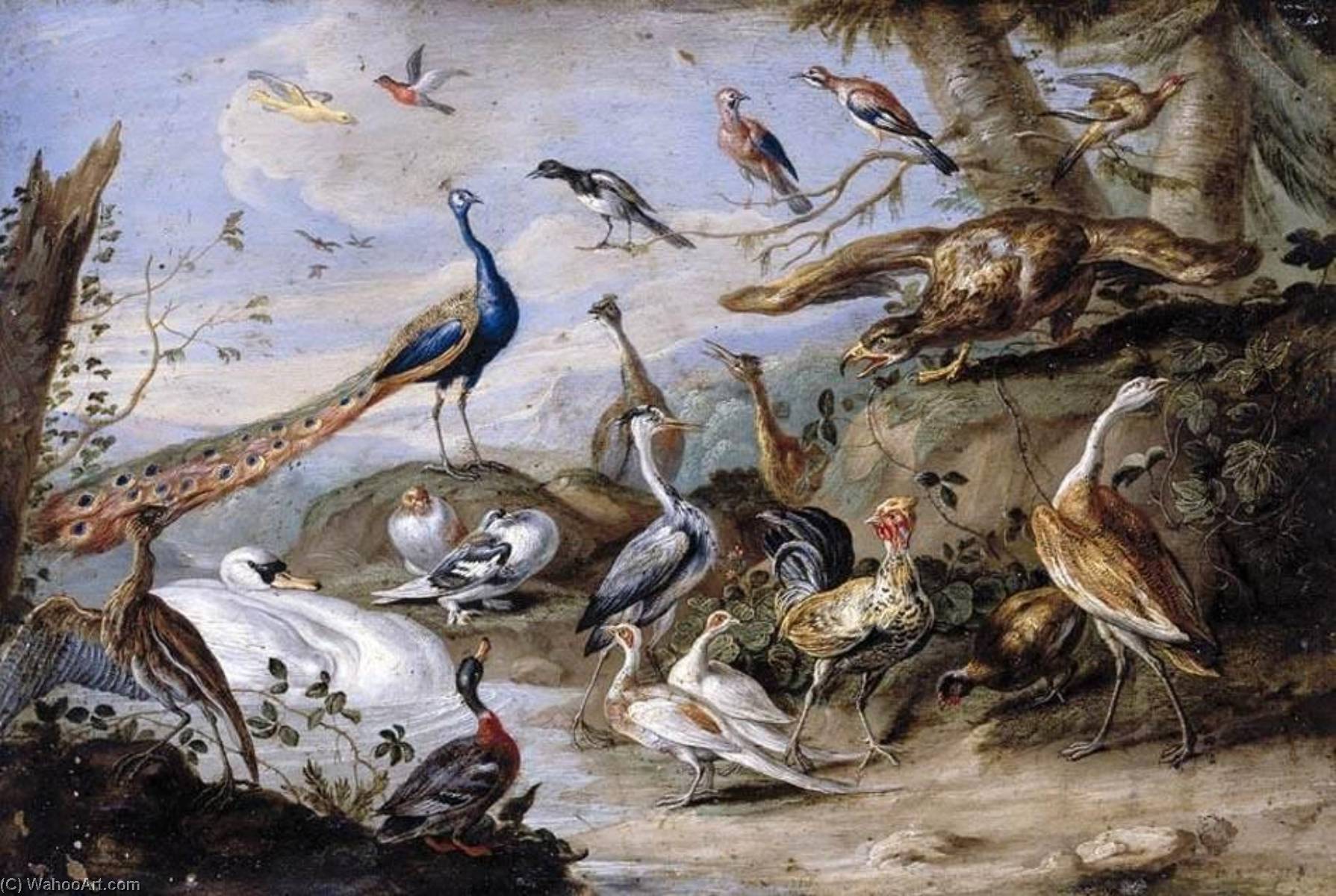 Order Paintings Reproductions Birds on a Riverbank, 1655 by Jan Van Kessel The Elder (1626-1679) | ArtsDot.com