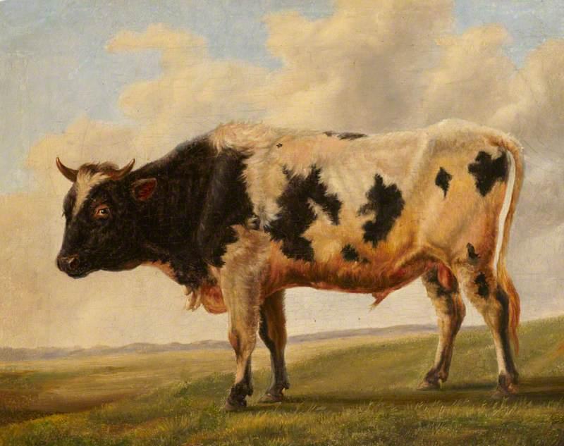 Order Oil Painting Replica Friesian Bull in a Landscape by Thomas Sidney Cooper (1803-1902, United Kingdom) | ArtsDot.com