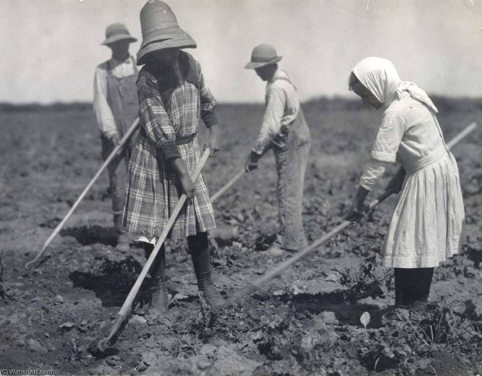 Order Oil Painting Replica Young Russian Immigrants Hoeing Sugar Beets, Colorado, 1910 by Lewis W Hine (1874-1940, United States) | ArtsDot.com