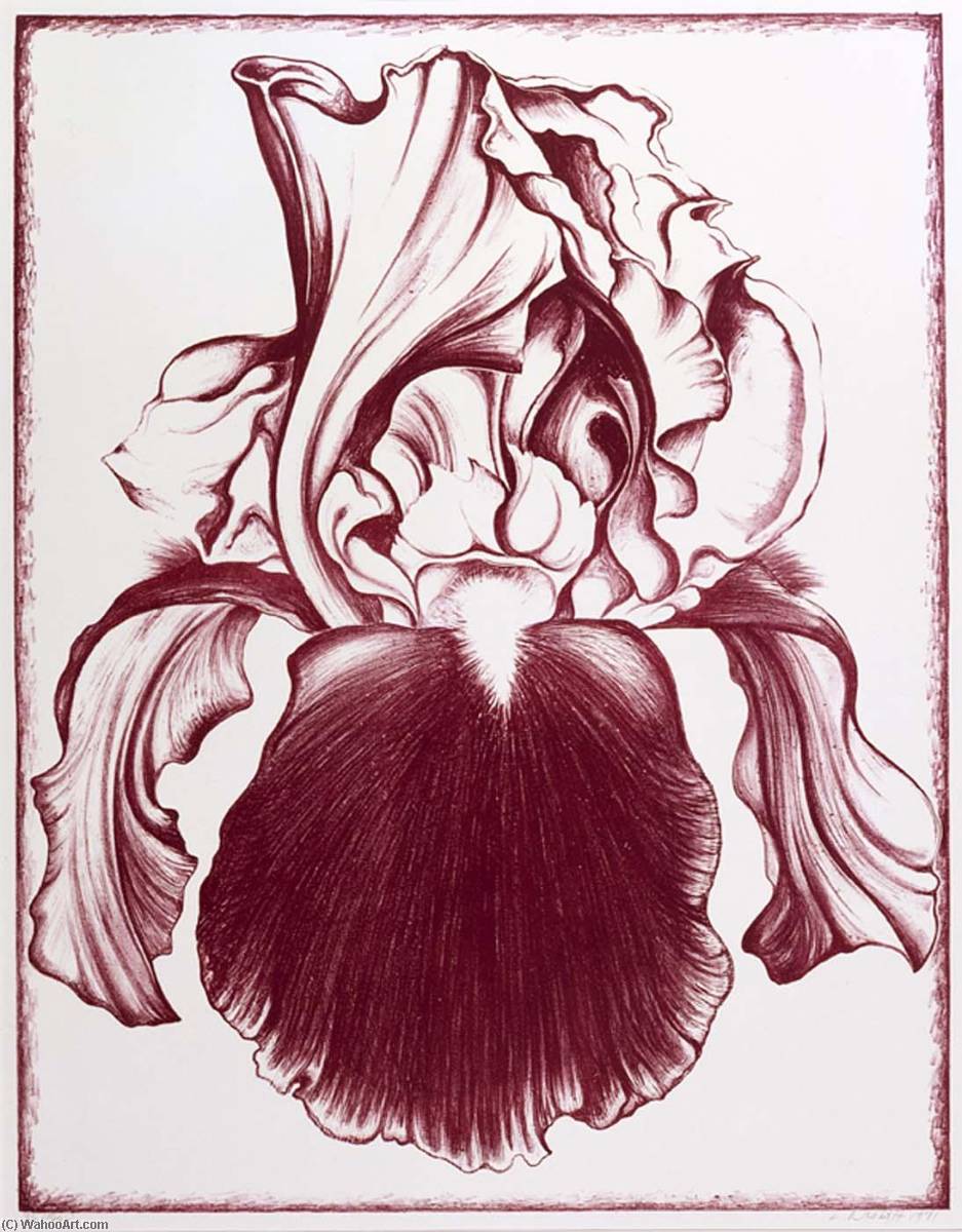 Iris from the Flower Series, 1971 by Lowell Nesbitt Lowell Nesbitt | ArtsDot.com