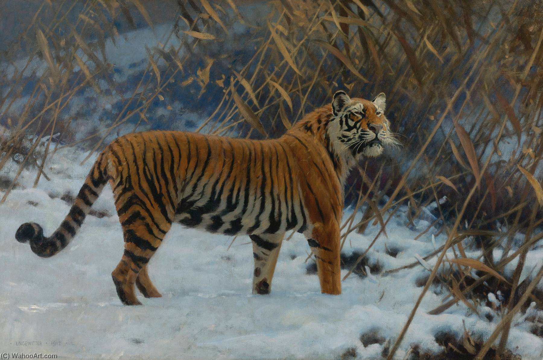 A Tiger Prowling in the Snow by Hugo Ungewitter Hugo Ungewitter | ArtsDot.com