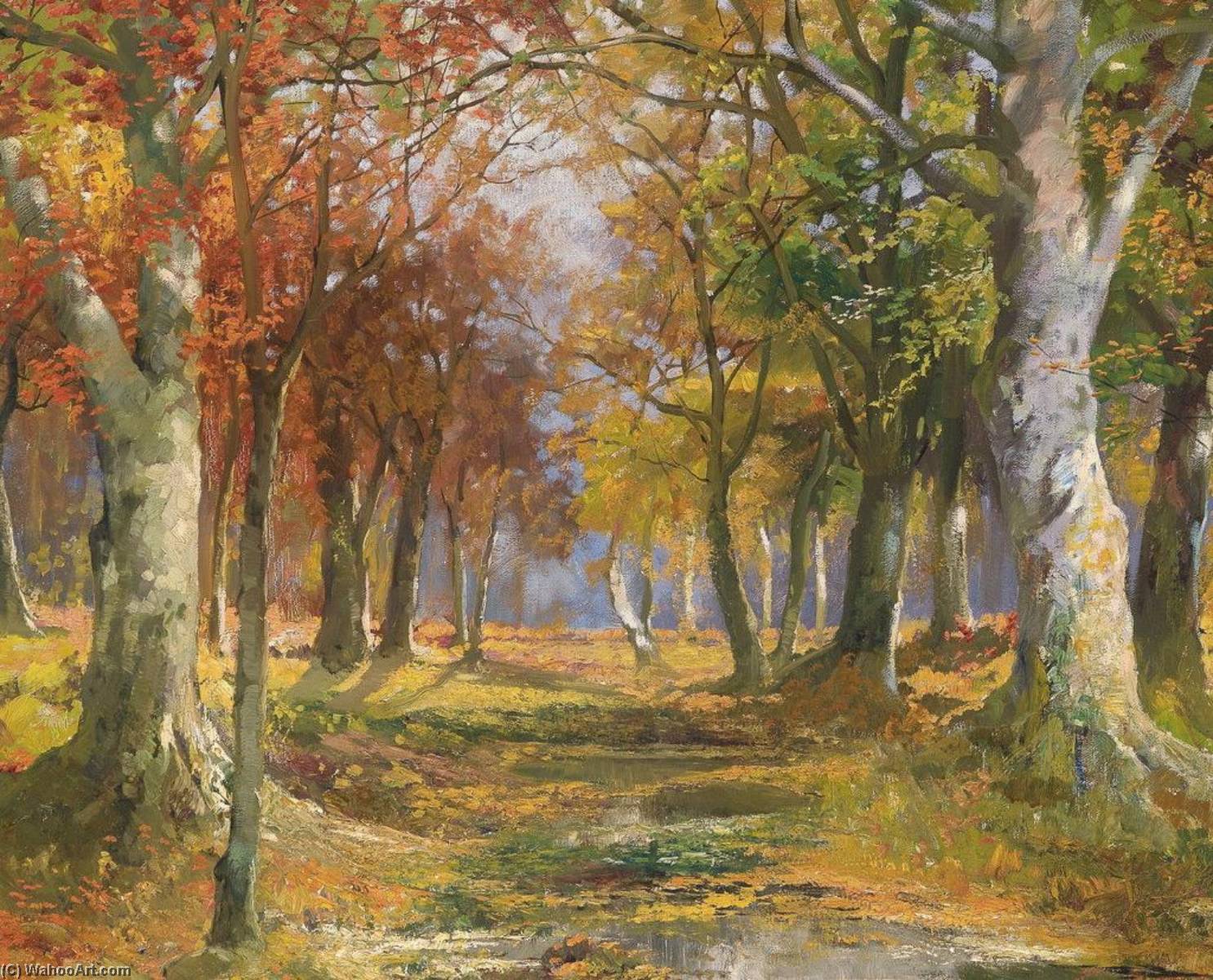 Forest in Autumn by Karl Vikas Karl Vikas | ArtsDot.com