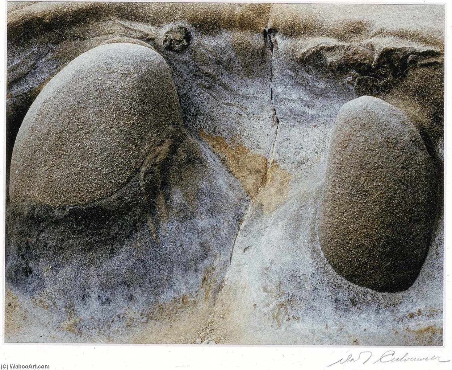 Stones, Pt. Lobos, 1982 by David T Culverwell David T Culverwell | ArtsDot.com