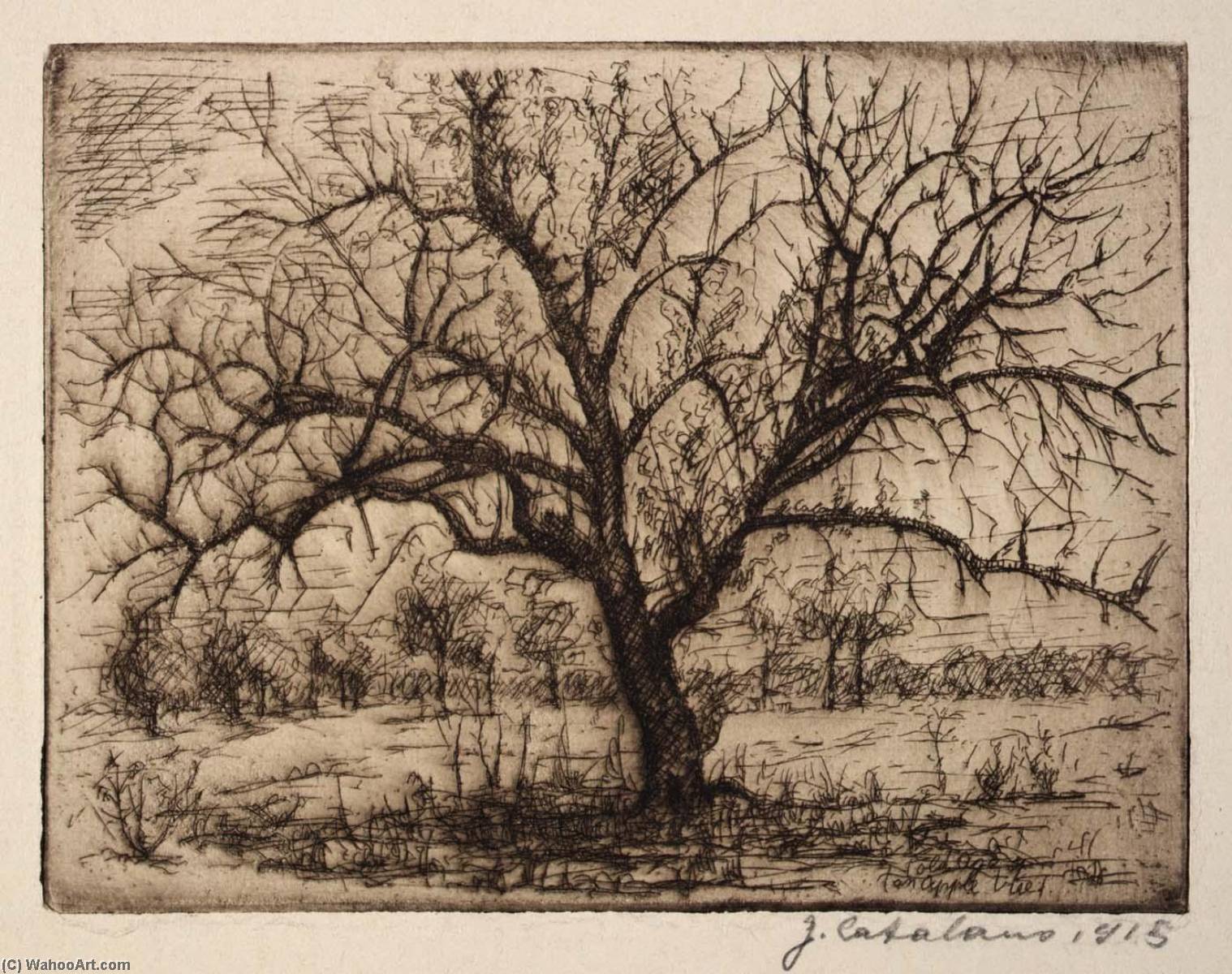 Dying Apple Tree, 1915 by Guiseppe Catalano Guiseppe Catalano | ArtsDot.com