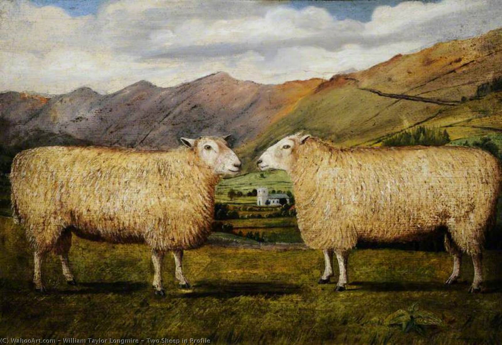 Buy Museum Art Reproductions Two Sheep in Profile by William Taylor Longmire (1841-1914) | ArtsDot.com
