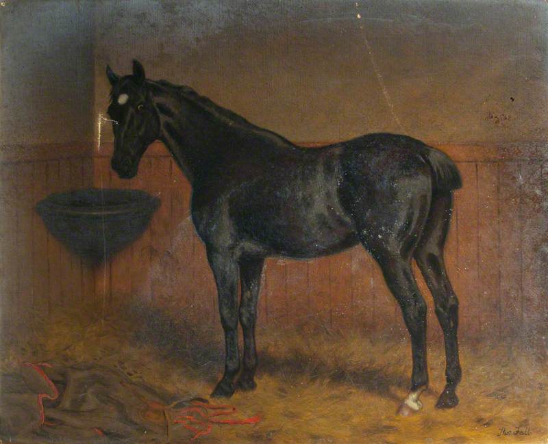 `Blackbird`, a Dark Bay Racehorse in a Stable, 1917 by Thomas Hall Thomas Hall | ArtsDot.com