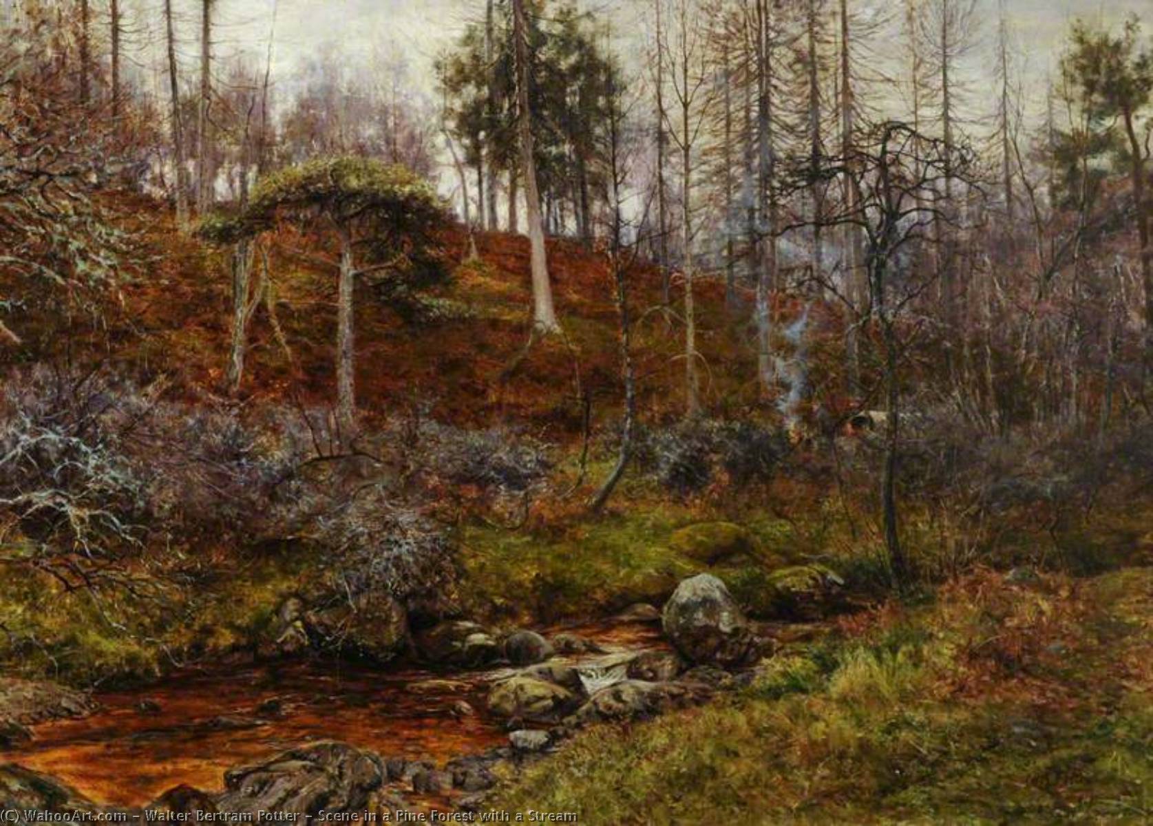 Order Art Reproductions Scene in a Pine Forest with a Stream by Walter Bertram Potter (1872-1918) | ArtsDot.com