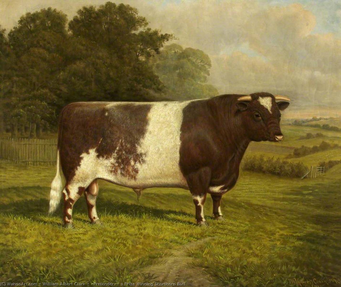Order Paintings Reproductions `Pretender`, a Prize Winning Shorthorn Bull, 1912 by William Albert Clark (Inspired By) (1880-1963) | ArtsDot.com