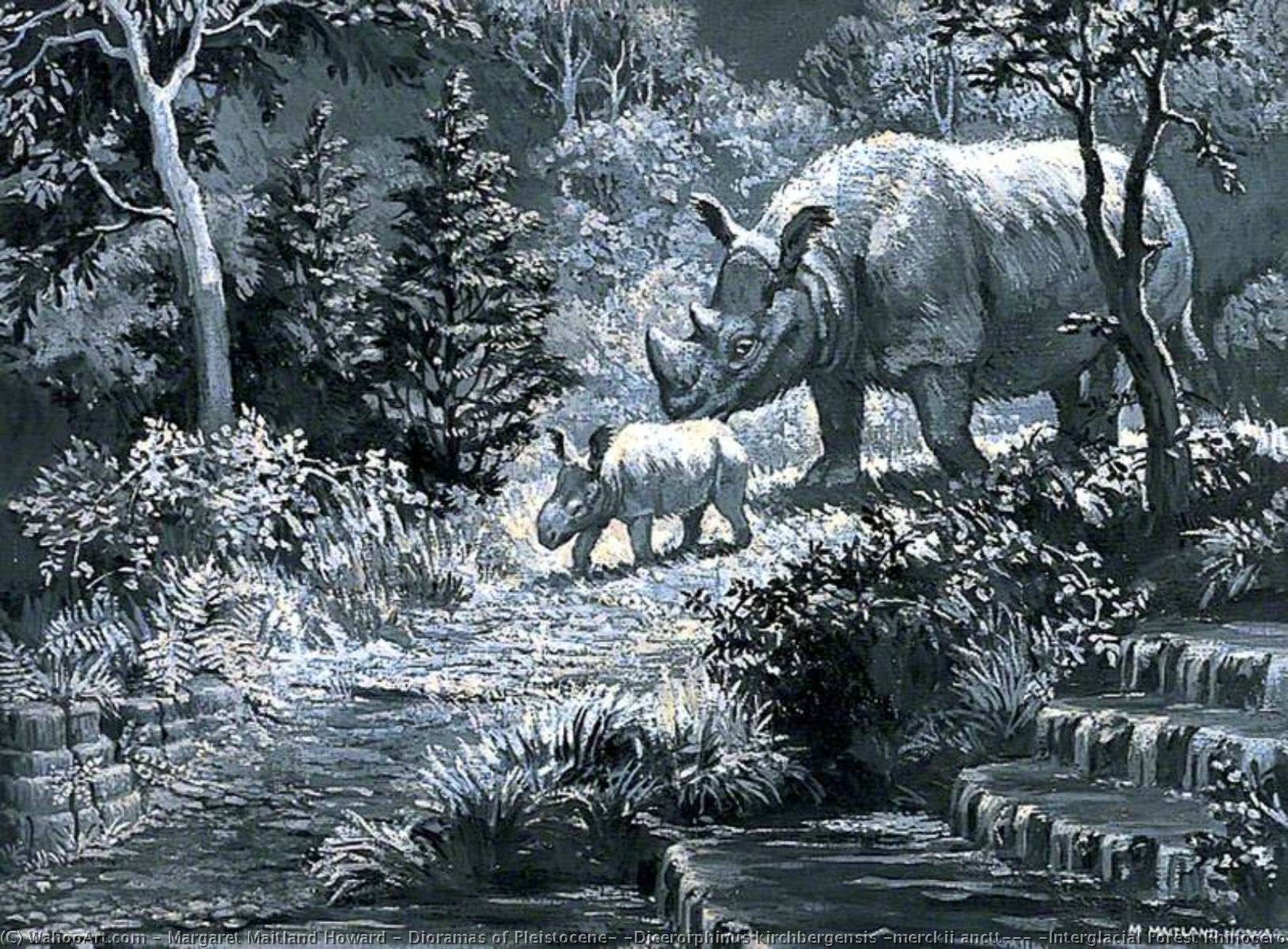 Buy Museum Art Reproductions Dioramas of Pleistocene, `Dicerorphinus kirchbergensis (merckii anctt)`, (Interglacial Forest Rhinoceros) by Margaret Maitland Howard (Inspired By) (1898-1983) | ArtsDot.com