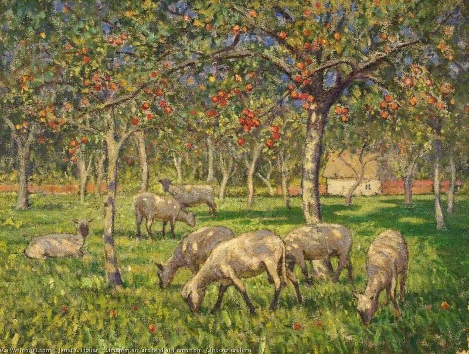 Buy Museum Art Reproductions Sheep in an Orchard at Kemerton, Gloucestershire by Janet C Fisher (1867-1926) | ArtsDot.com